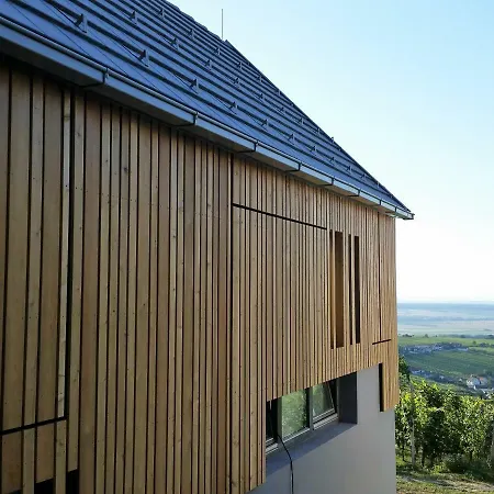 Weinlofts Weinloft II Villa Eisenberg an der Pinka Exterior photo