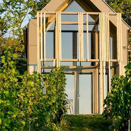 Weinlofts Weinloft II Villa Eisenberg an der Pinka Exterior photo