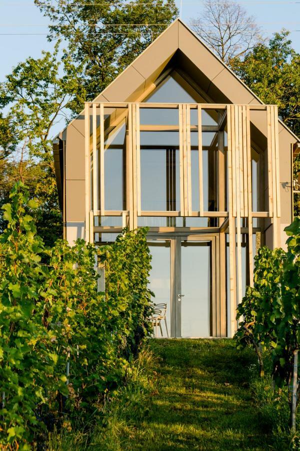 Holiday home Weinlofts Weinloft Ii Eisenberg an der Pinka